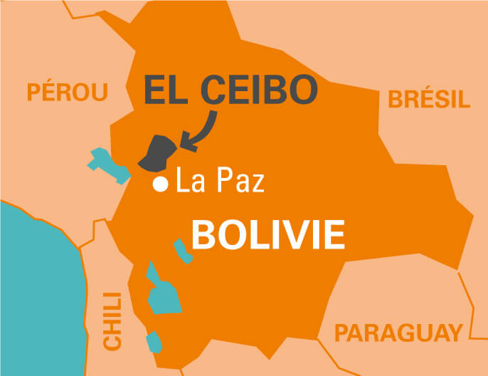 Carte coopÃ©rative El Ceibo en Bolivie - Chocolat 50% cacao